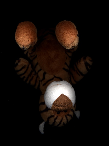 Stuffed Tiger floating in space - frontal