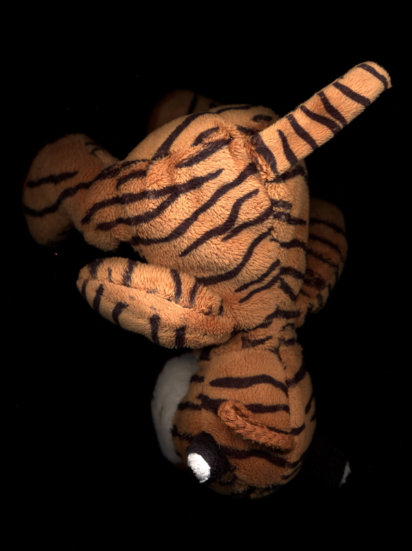 Stuffed Tiger floating in space - sideways