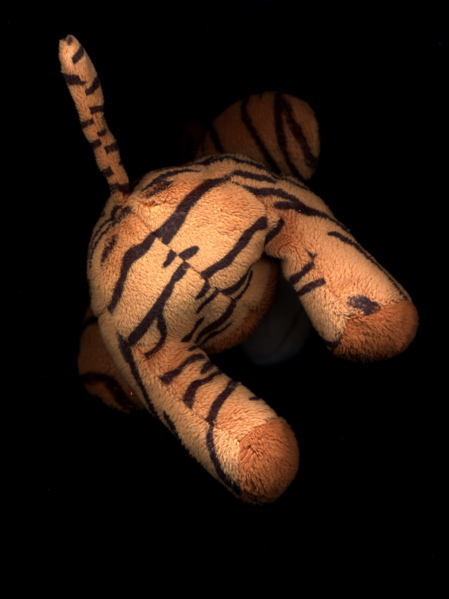 Stuffed Tiger floating in space - buttocks